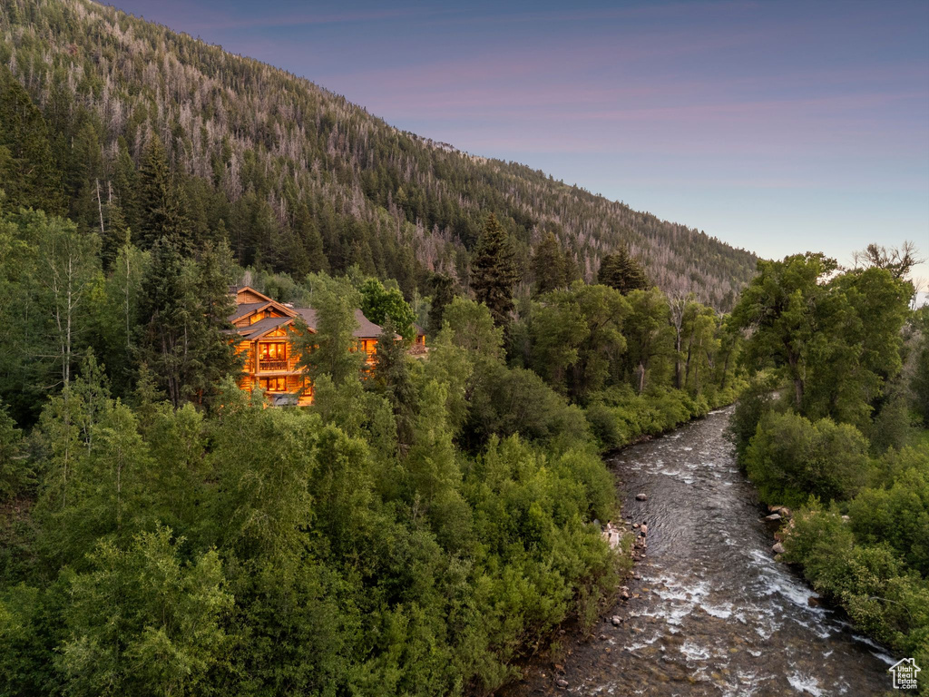 Mountain view with a heavily wooded area