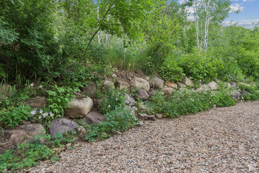 View of nature