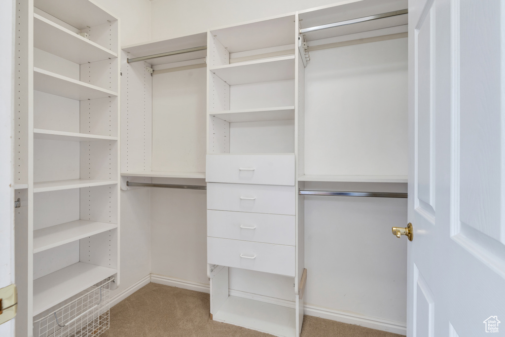 Walk in closet with light colored carpet