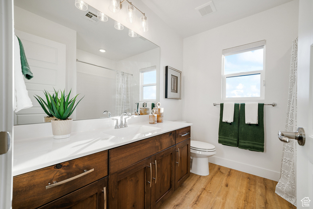 Full bath featuring vanity, wood finished floors, and a shower with shower curtain