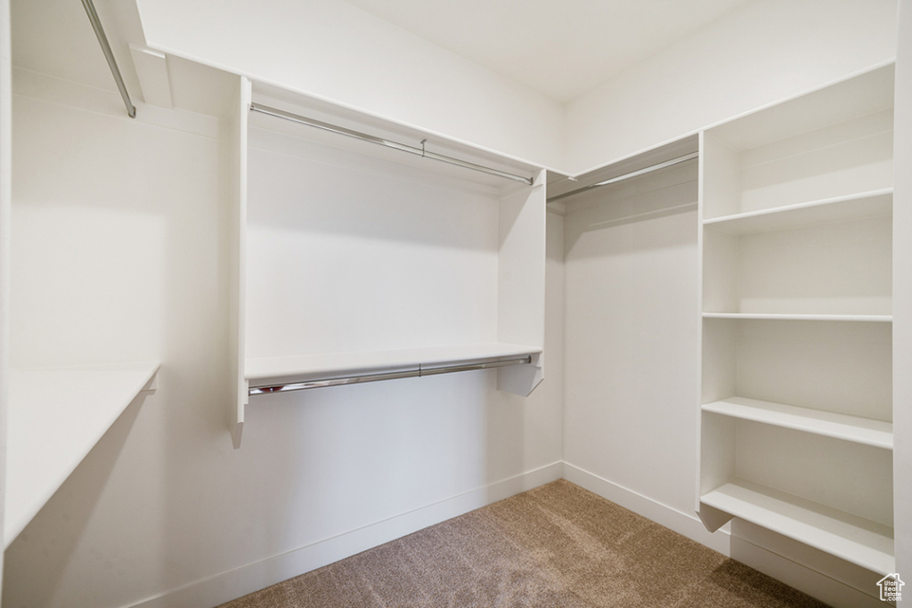 Spacious closet featuring light carpet