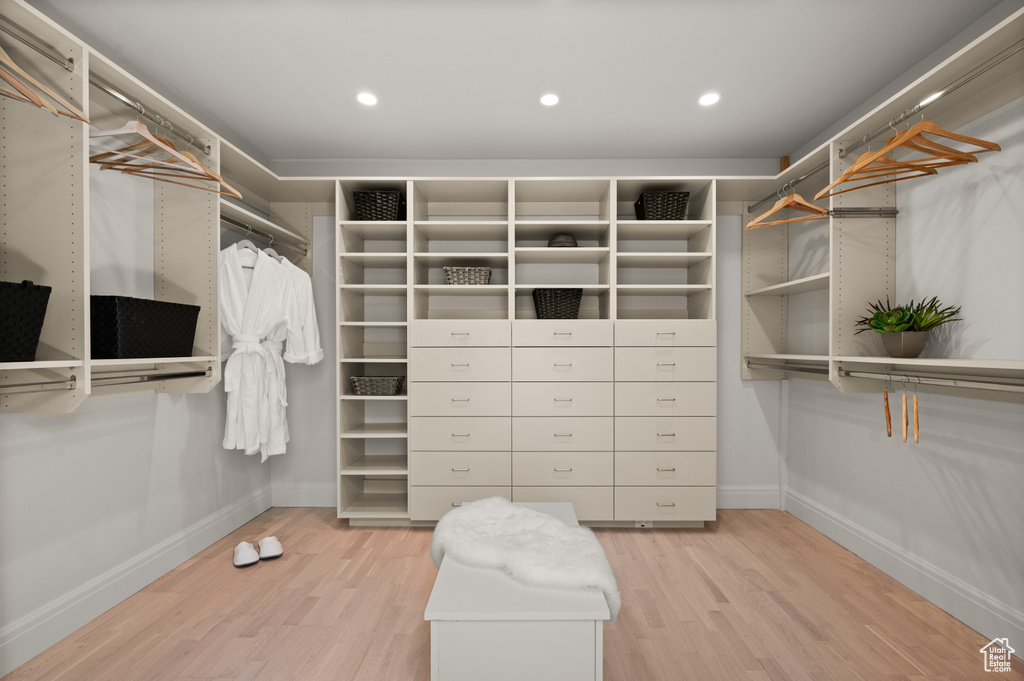 Spacious closet featuring light wood finished floors