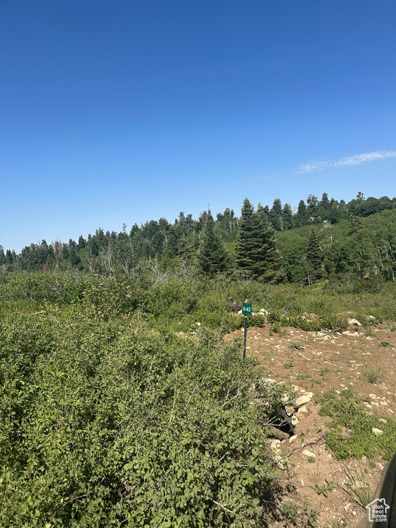 View of undeveloped land