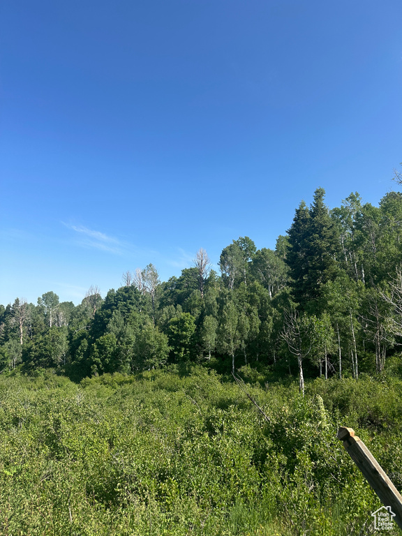 View of wooded area
