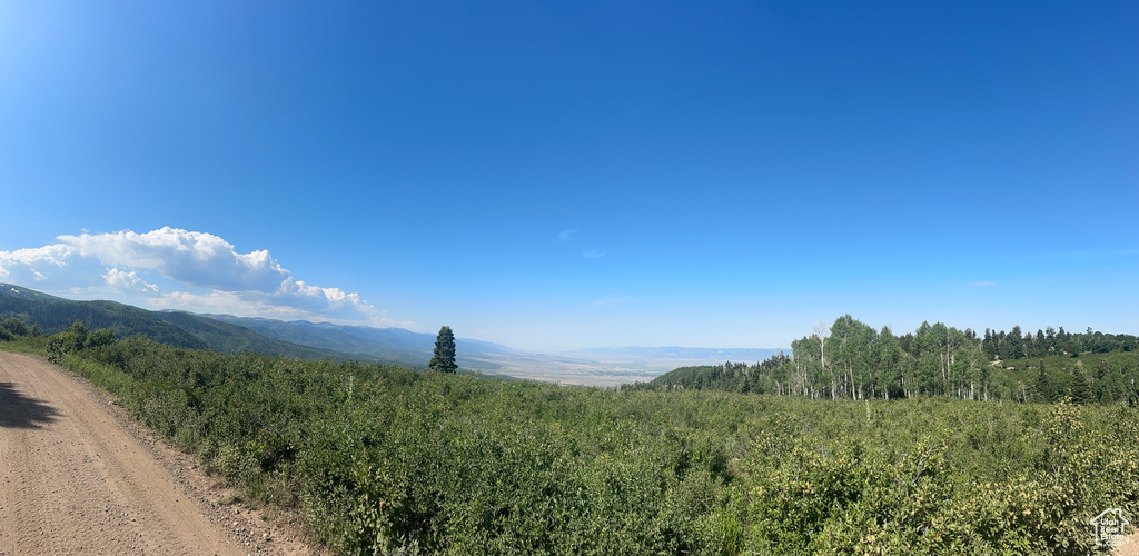 View of mountain backdrop featuring a heavily wooded area