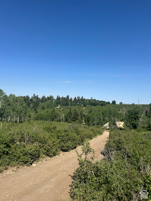 View of road