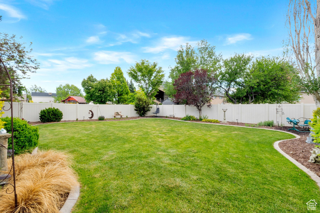 View of fenced backyard