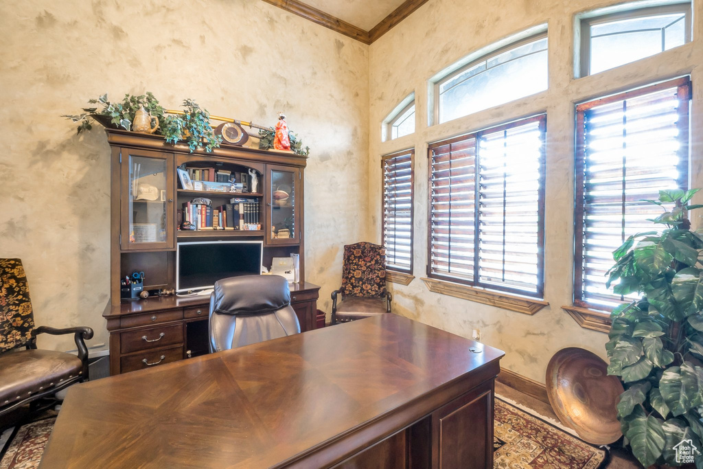 Office space featuring crown molding and baseboards