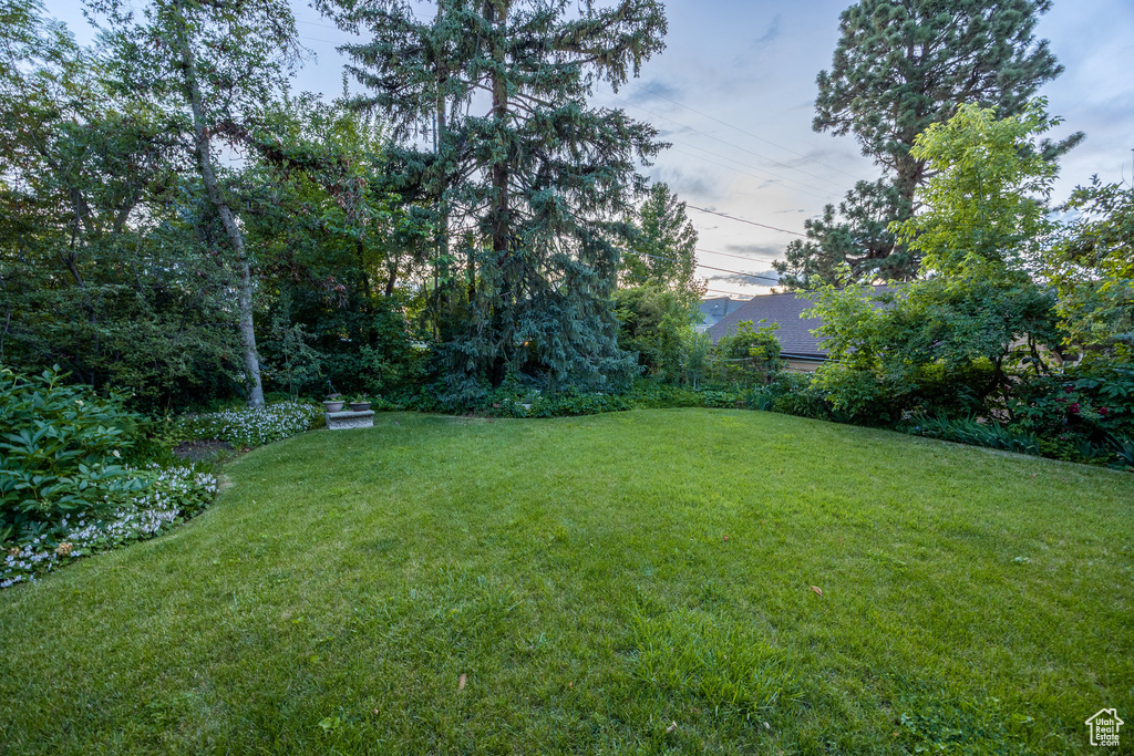 View of green lawn