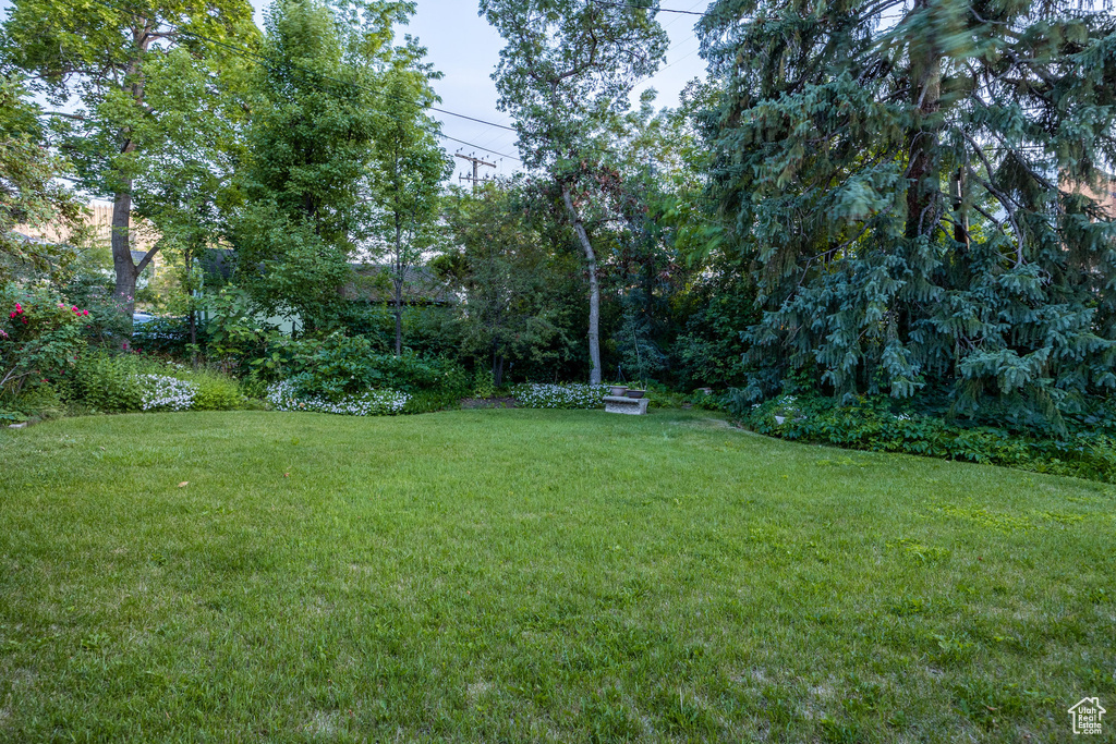 View of grassy yard