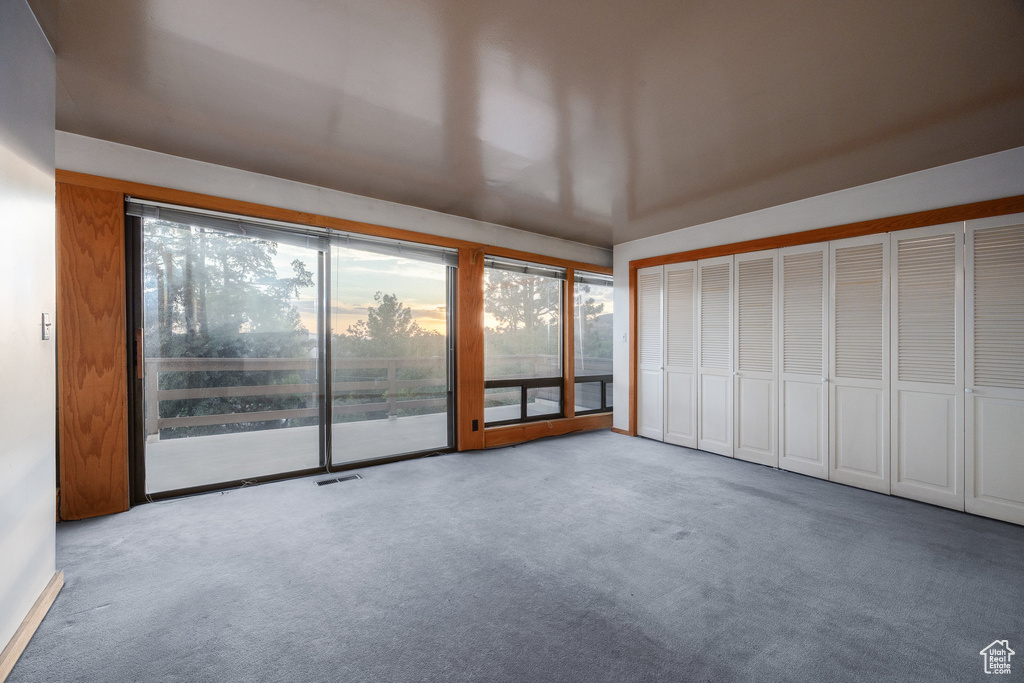 Carpeted spare room featuring plenty of natural light