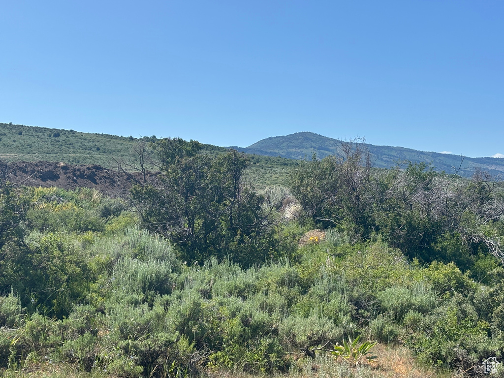 View of mountain background