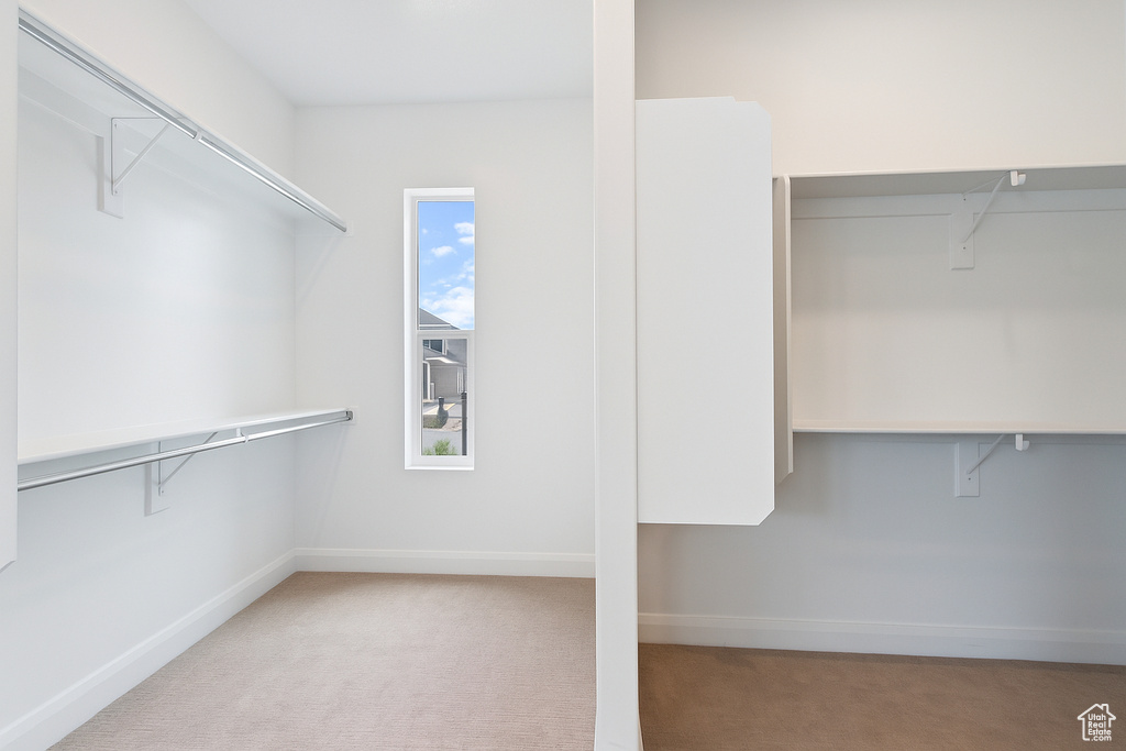 Spacious closet featuring carpet flooring