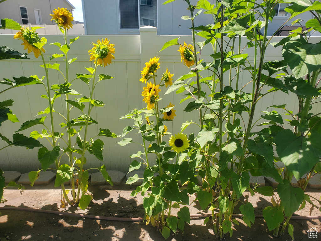 Photo 22 for MLS #2093253 at 1082 E Springwater Way #812