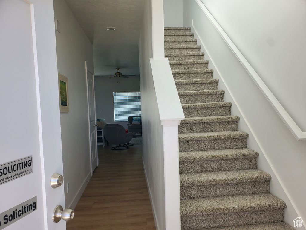 Staircase featuring a ceiling fan and wood finished floors