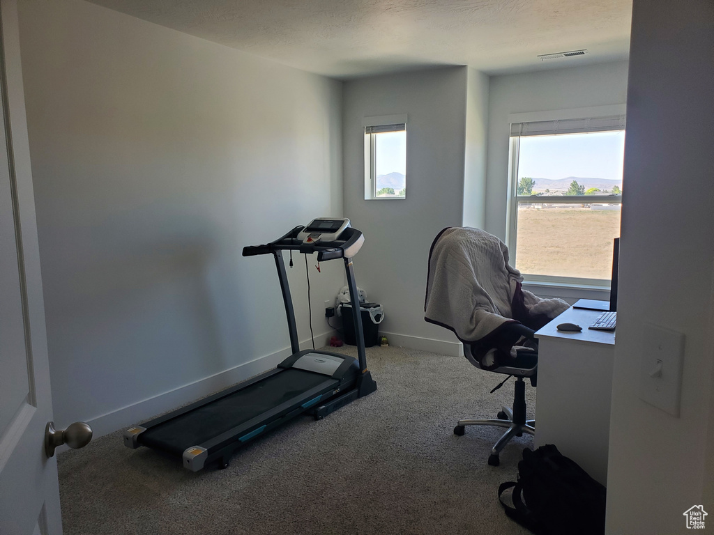 Exercise area featuring carpet floors and baseboards