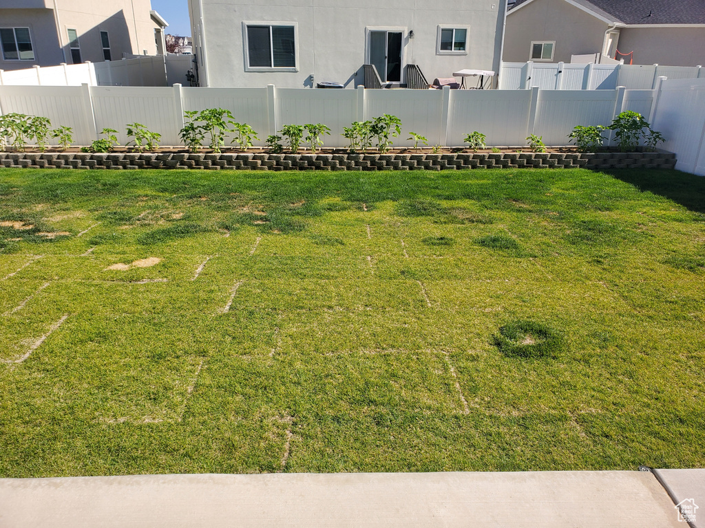 View of fenced yard