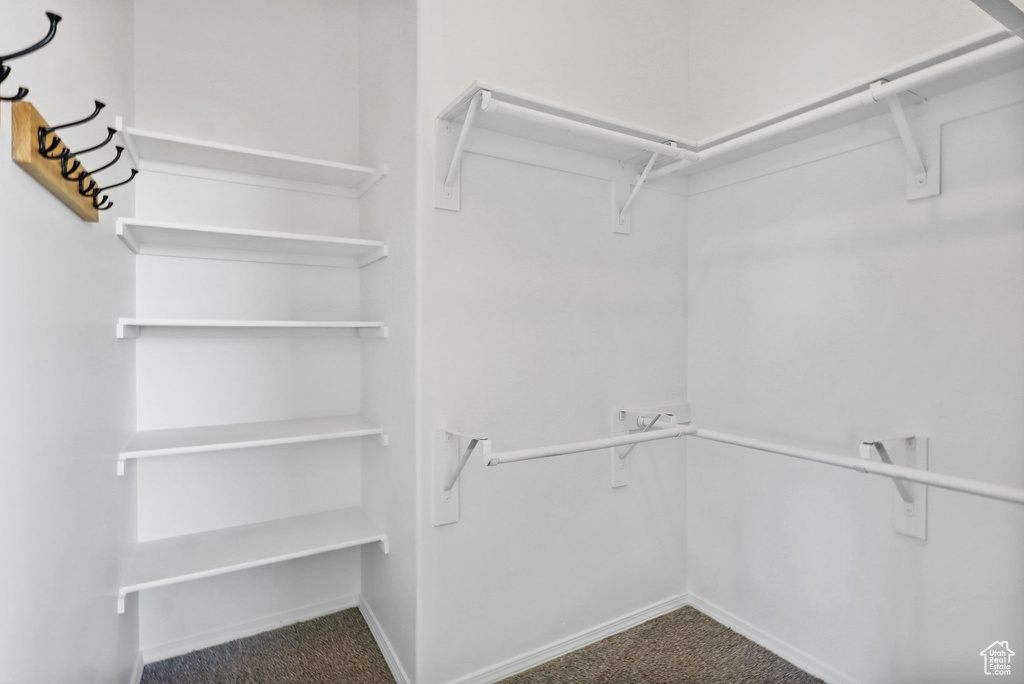 Spacious closet featuring dark colored carpet
