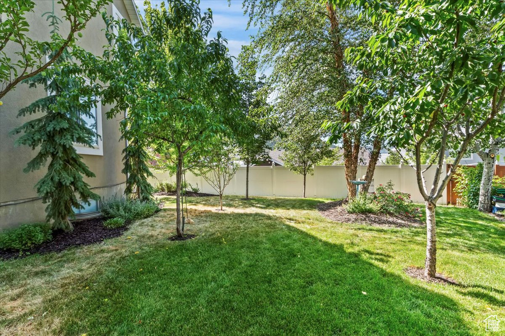 View of fenced backyard