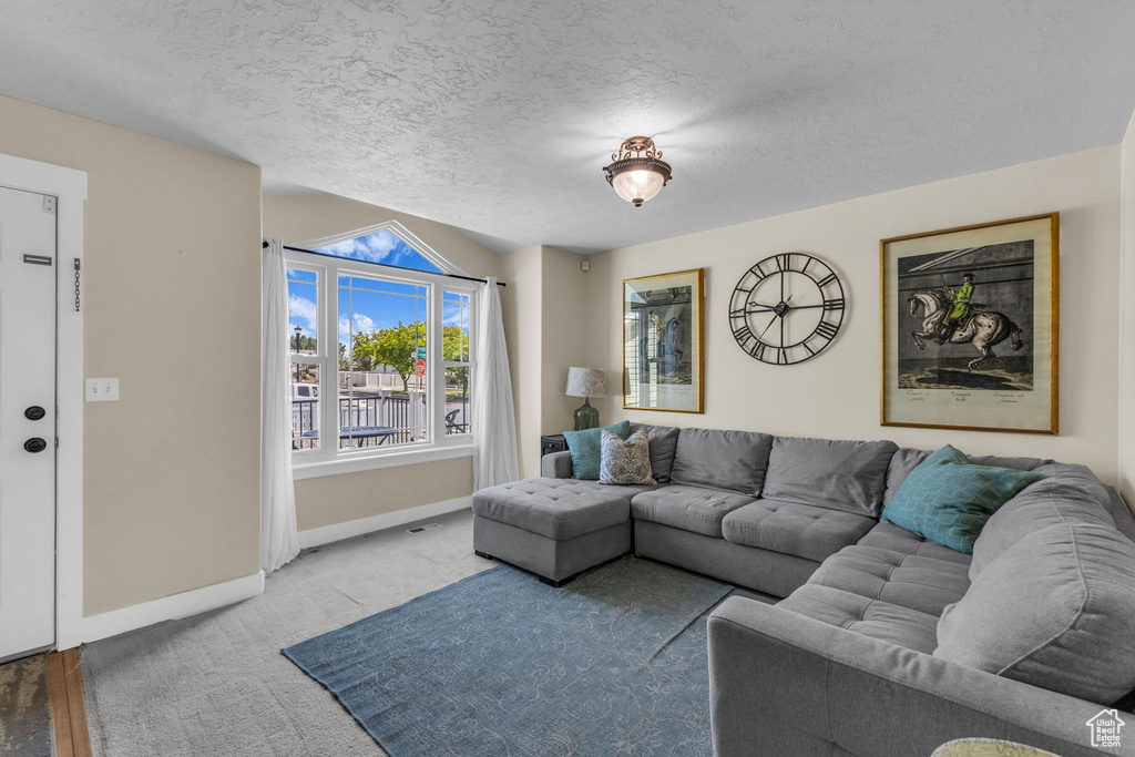 Carpeted living area with baseboards and a textured ceiling