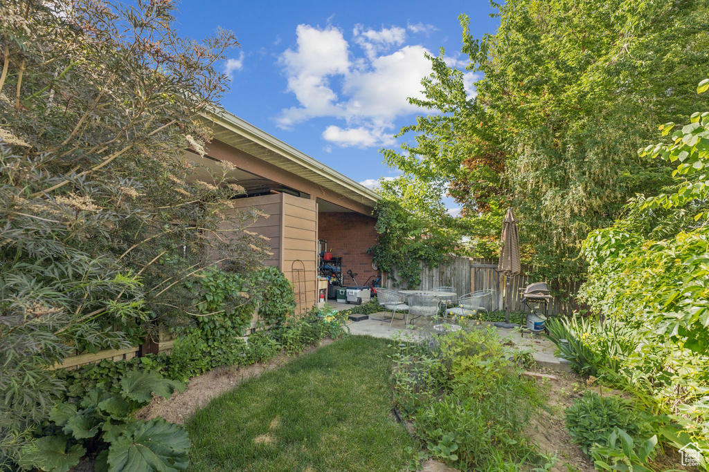 View of yard with a patio area