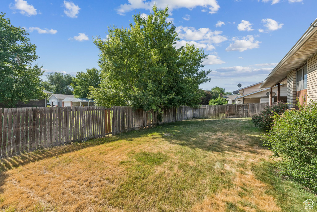 View of fenced backyard