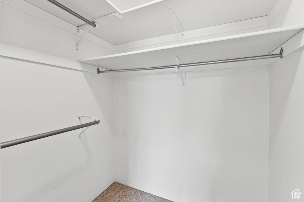 Spacious closet featuring carpet floors