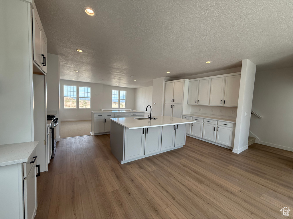 Kitchen with a kitchen island with sink, light wood finished floors, a textured ceiling, light countertops, and recessed lighting