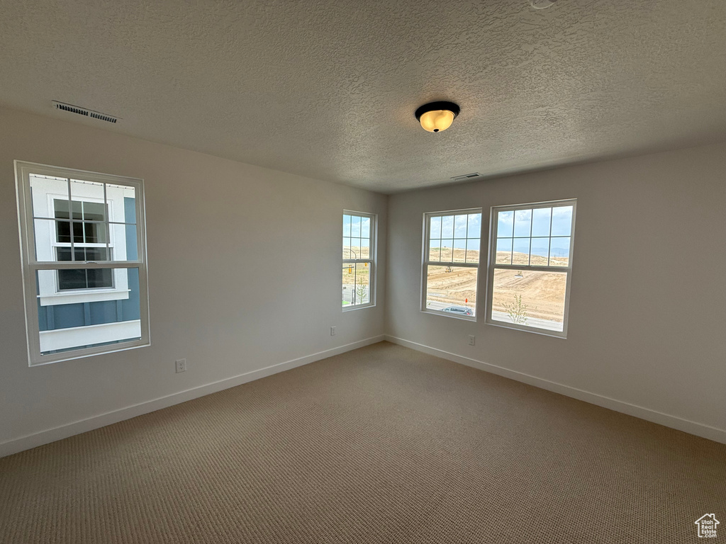 Unfurnished room with a textured ceiling and carpet