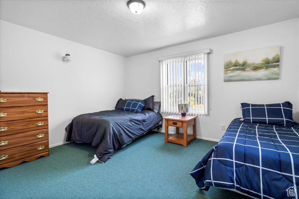 14280 N 13370 E #5 Mt Pleasant, UT 84647