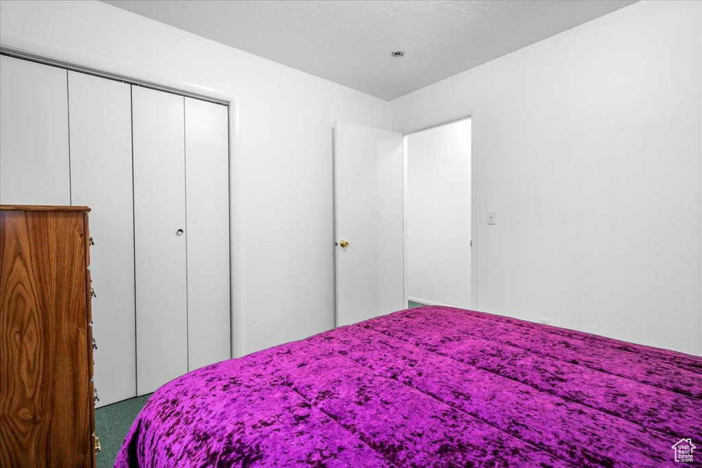 14280 N 13370 E #5 Mt Pleasant, UT 84647