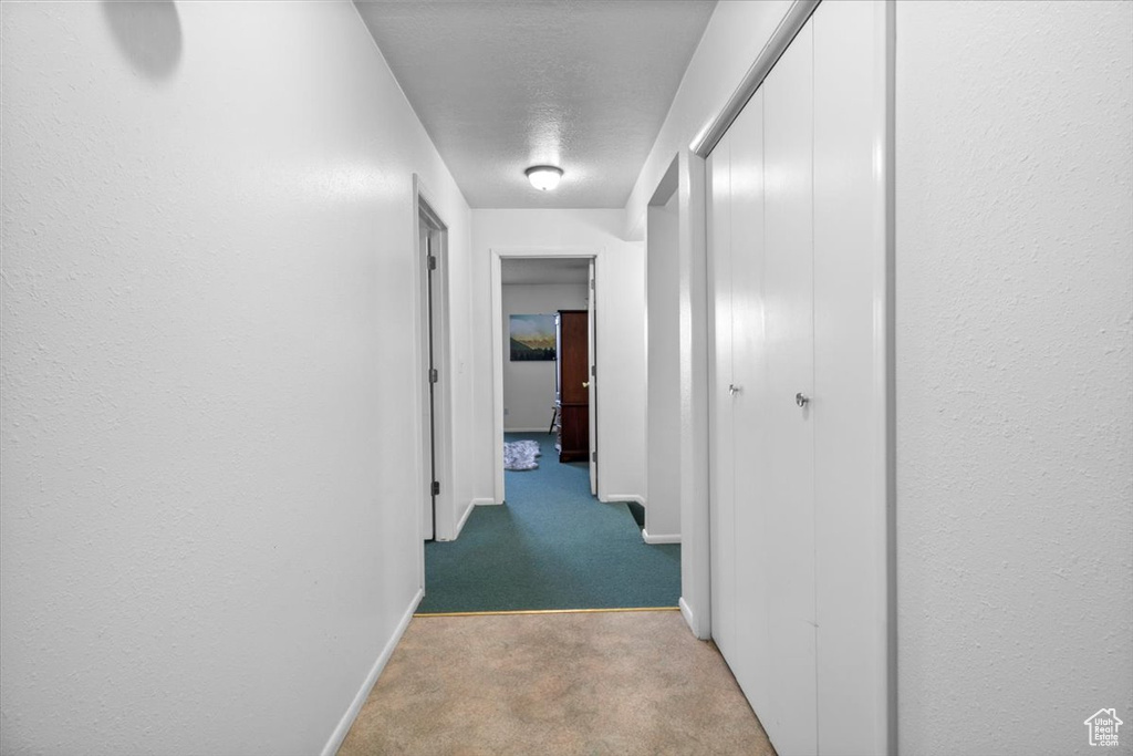 14280 N 13370 E #5 Mt Pleasant, UT 84647