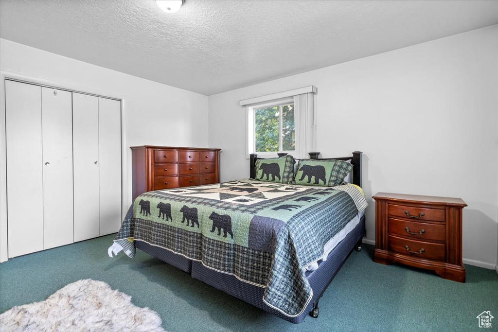 14280 N 13370 E #5 Mt Pleasant, UT 84647