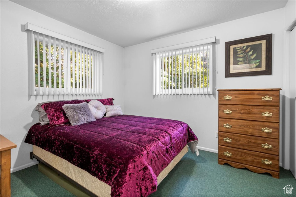 14280 N 13370 E #5 Mt Pleasant, UT 84647