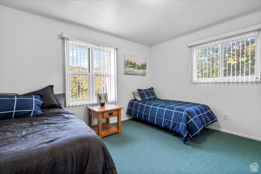 14280 N 13370 E #5 Mt Pleasant, UT 84647