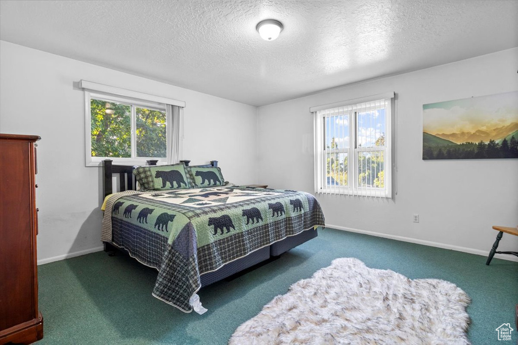 14280 N 13370 E #5 Mt Pleasant, UT 84647