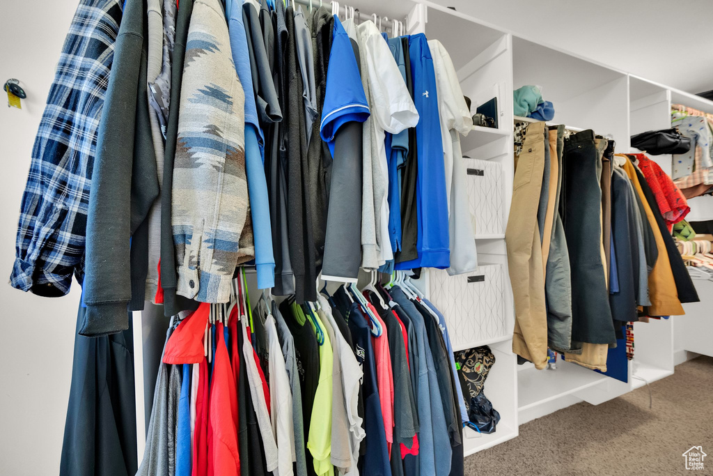 Spacious closet featuring carpet