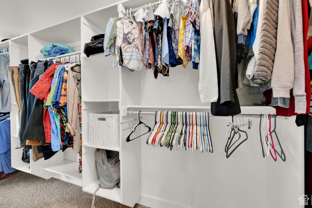 Spacious closet with carpet