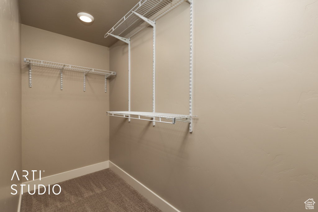 Walk in closet featuring carpet floors
