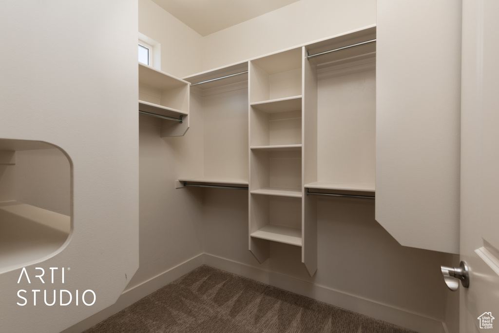 Spacious closet featuring dark colored carpet