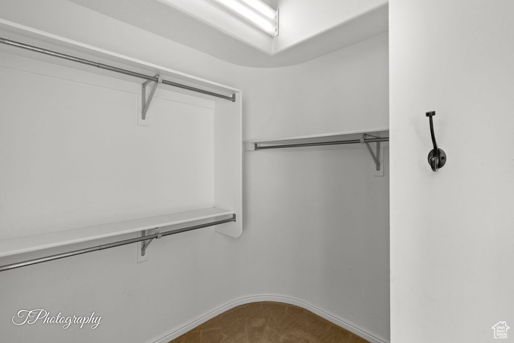 Walk in closet featuring carpet flooring
