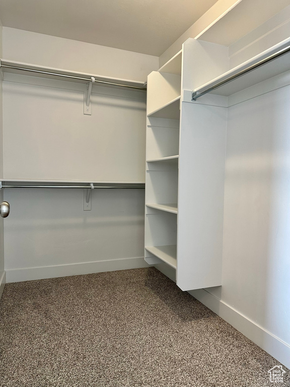 Spacious closet featuring carpet flooring
