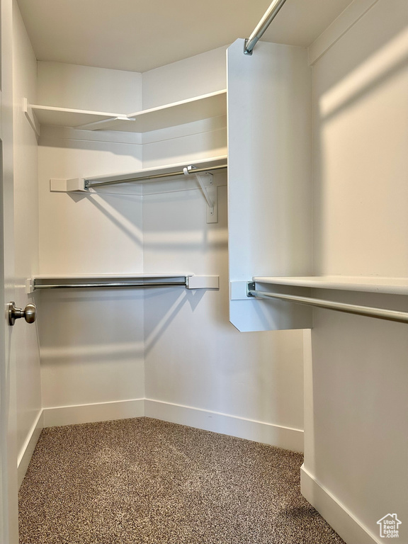 View of walk in closet