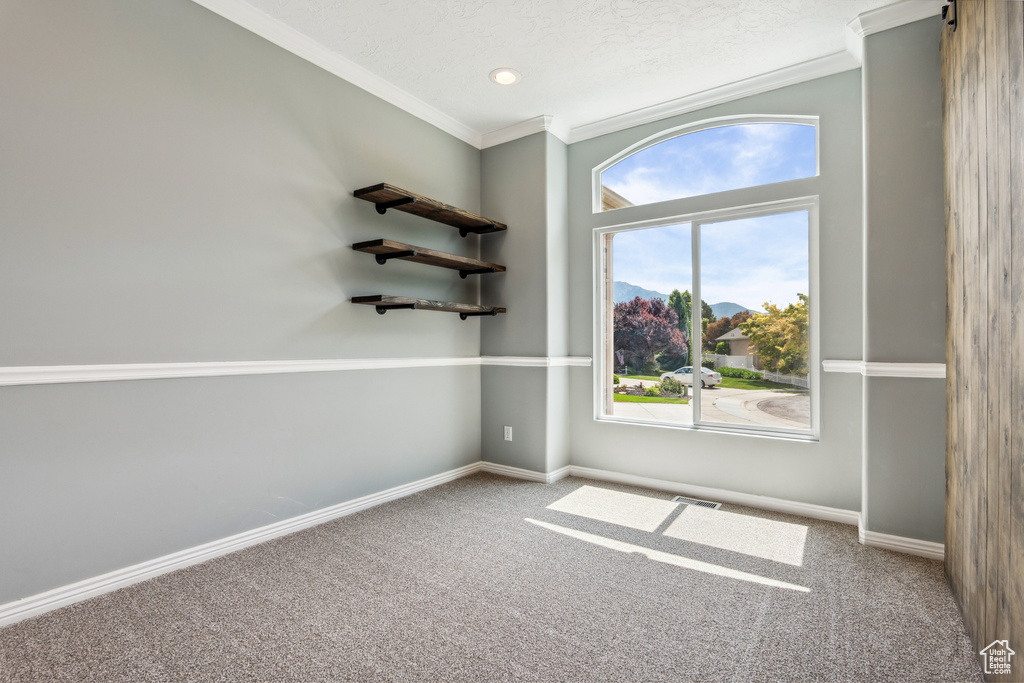 Carpeted empty room with ornamental molding and baseboards