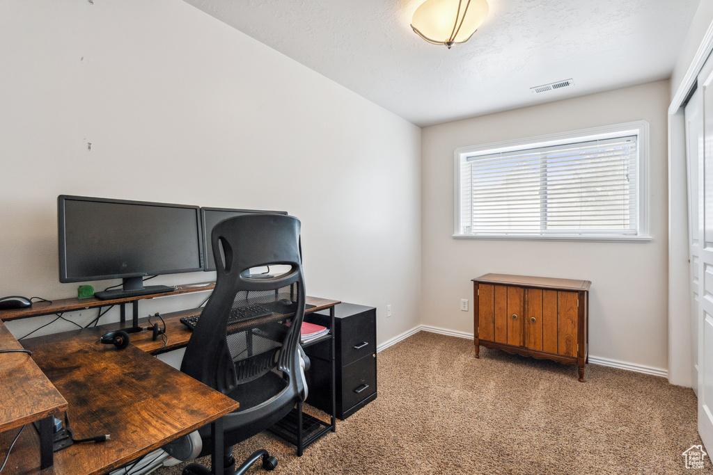 Office with carpet and baseboards