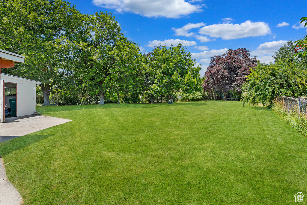 Fenced backyard with a patio and view of wooded area