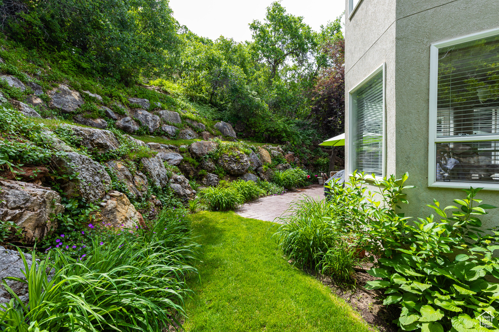 View of green lawn