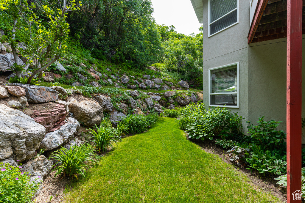 View of grassy yard