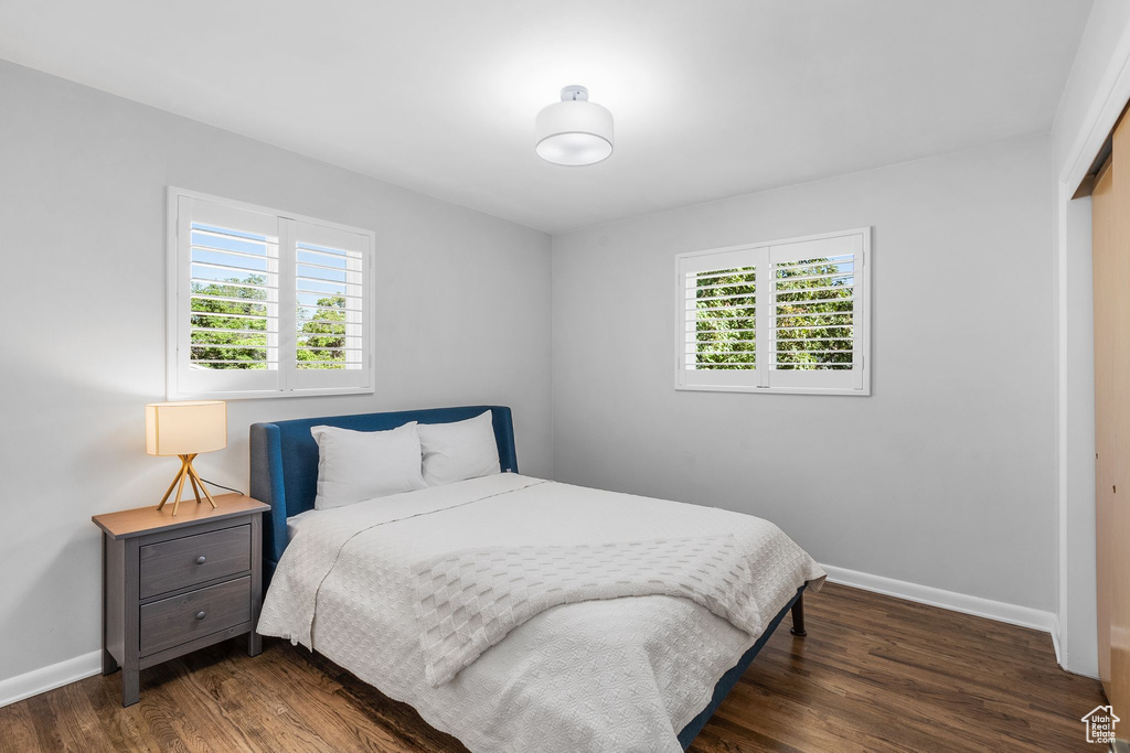 Bedroom with multiple windows, dark wood-type flooring, and a closet