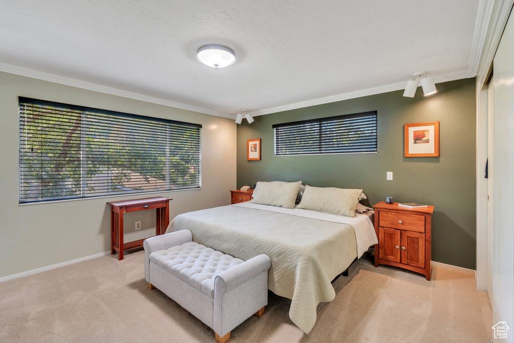 Bedroom featuring crown molding and light colored carpet